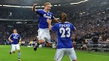 Schalke relishing life under Stevens