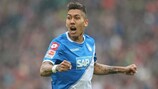 Roberto Firmino celebrates finding the target for Hoffenheim last term