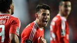 Pizzi confía en que el Benfica pueda superar al Bayern