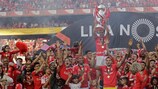 Benfica sicherte sich am Sonntag die 35. Meisterschaft der Vereinsgeschichte