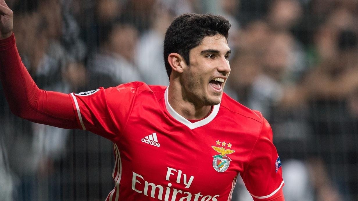 goncalo guedes - photo #22