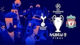 Все что нужно знать о финале Лиги чемпионов в Мадриде