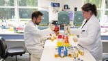 None of the 2,242 samples collected within the EURO testing programme were positive
