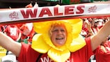 Wales-Fan