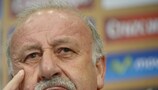 Vicente del Bosque has been irked by coverage of his team in Spain